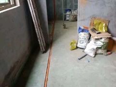 -至美焕新·全屋翻新