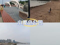 -小麦岛公园
