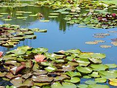 -国家植物园南园