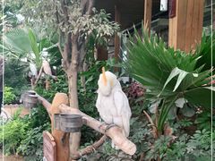 -南宫五洲植物乐园