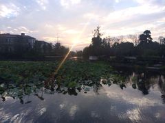 iphone_upload_pic-上海玫瑰园度假酒店