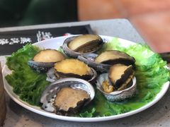 -四海蒸鲜蒸汽海鲜自助(北戴河店)