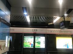 -大望路(地铁站)