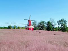 -羊亭河湿地公园