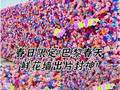 -巴黎春天(浦建店)