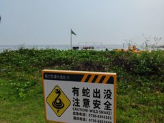 -东澳岛