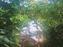 -卷心菜和避孕套餐厅(Pattaya)