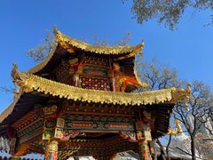 -护国法轮寺