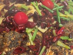 -老板恋上鱼(恒隆广场店)