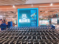 -盒马鲜生(和谐广场店)