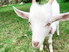 -北马山庄植趣咖啡