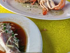 -海鸥岛河景湖大排档