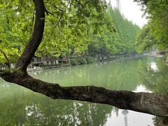 -运河游船(武林门码头)