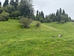 -新疆那拉提国家旅游度假区
