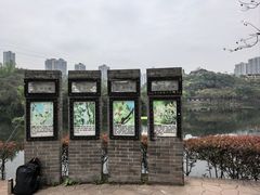 -重庆彩云湖湿地公园