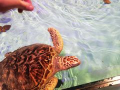 -哈尔滨波塞冬海底世界