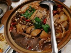 -点都德·毕德寮