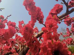 -元大都城垣遗址公园