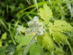 -玉渡山风景区-售票处