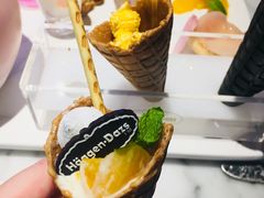 -哈根达斯(武汉天地店)