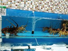 水产区-港畔赶海蒸汽海鲜烧烤自助(仙螺岛店)