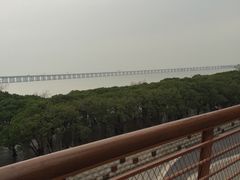 -宝安西湾红树林湿地公园