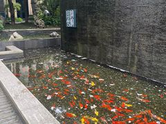 -湖滨客舍·湖北菜