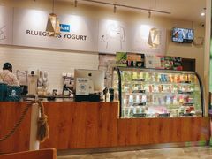 -Blueglass酸奶(财富购物中心店)