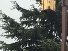 -茂陵博物馆