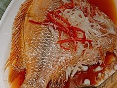 -上海新锦江大酒店