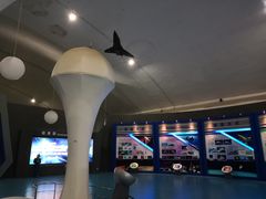 -中国航空博物馆
