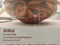 -北京大学赛克勒考古与艺术博物馆