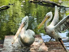 -济南野生动物世界