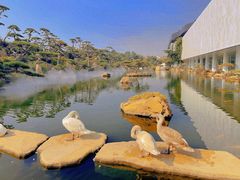 -罗红摄影艺术馆