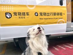 -OCT PARK欢乐时光