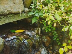 -成都市活水公园