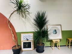 -Catch Bagel(芳草地店)