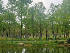 -洋湖国家湿地公园