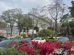 -南方医科大学第三附属医院