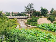 -静之湖度假区
