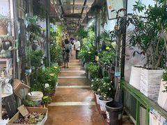 -朝来春花卉市场