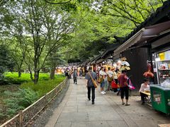 -普陀山风景区-佛顶山
