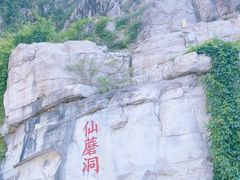 -仙蘑洞