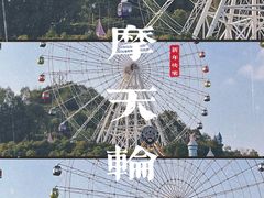 -温州乐园
