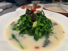 -秀儿四九城·新京菜(亚运村鸟巢店)
