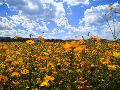 -东钱湖旅游度假区