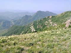 -白草畔自然风景区