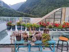 -四姑娘山阿巴郎·藏式花园餐厅