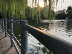 -莲湖公园
