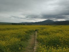 -扁都口生态休闲旅游区